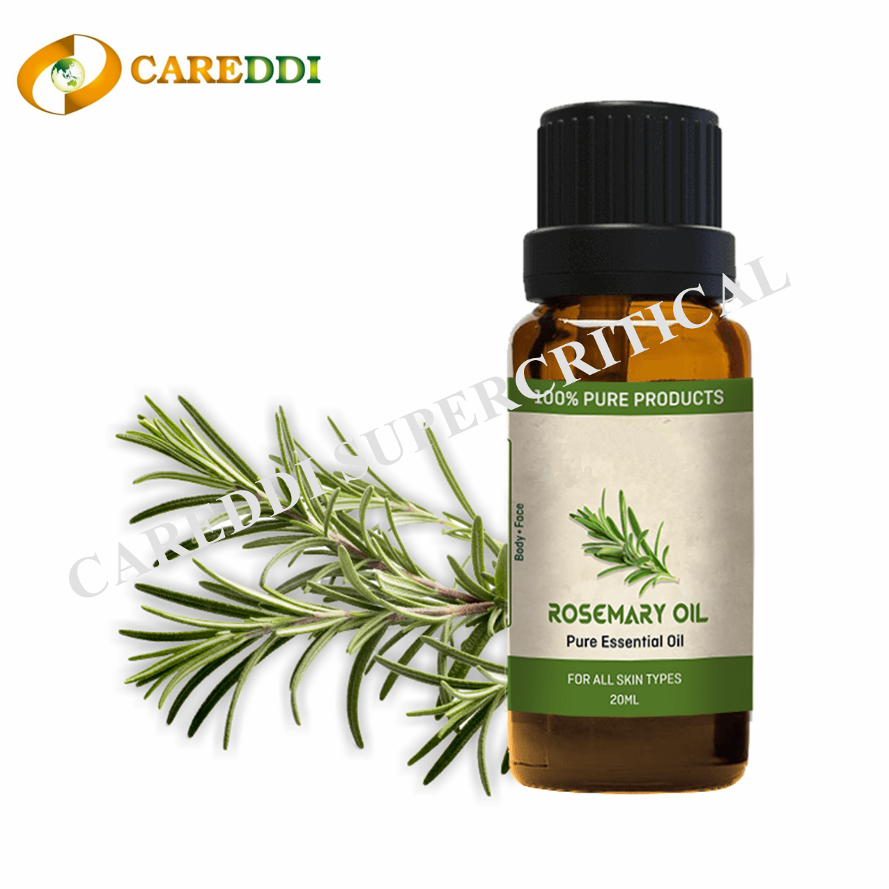 Rosemary Essential Oil Supercritical CO2 Extraction Rosemary Oil