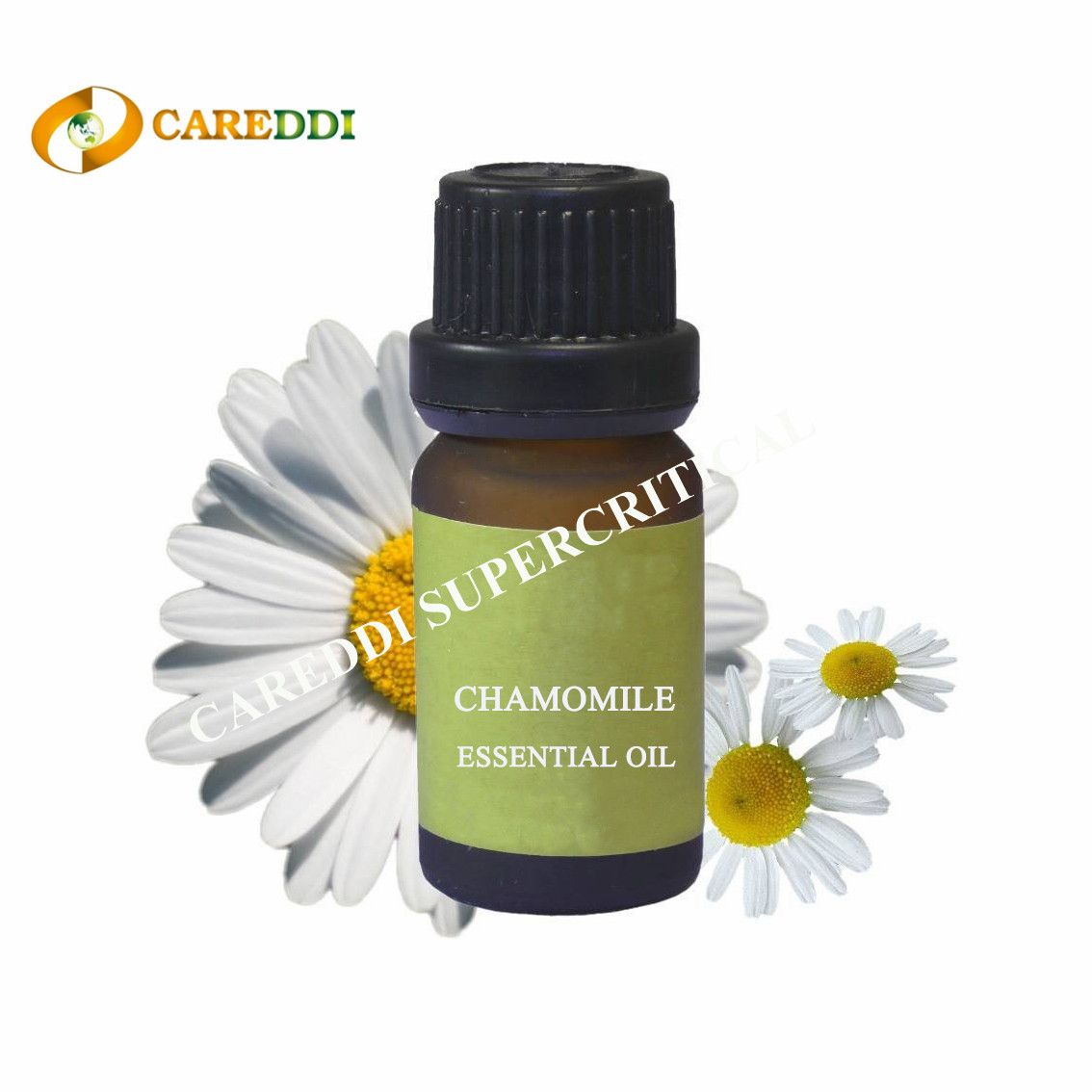 Chamomile Essential Oil Supercritical CO2 Extraction