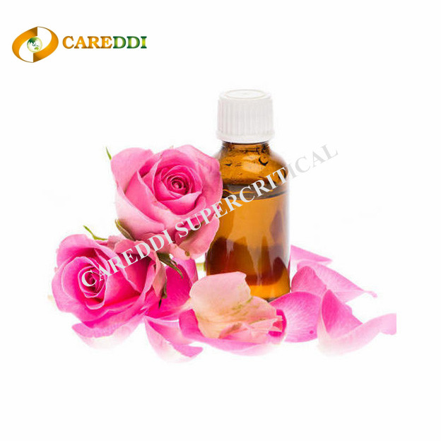 Aromatherapy Rose Essential Oil Supercritical CO2 Extraction Rose Oil